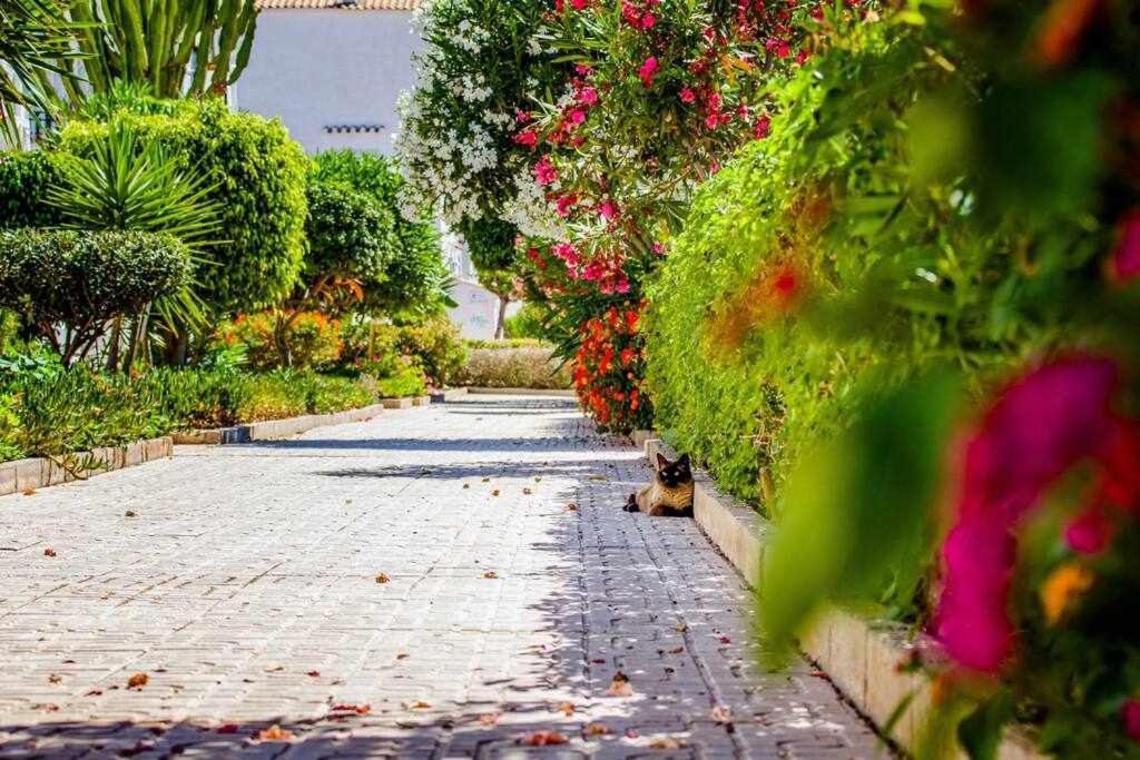 Dos Terrazas Apartment ตอร์เรเวียคา ภายนอก รูปภาพ